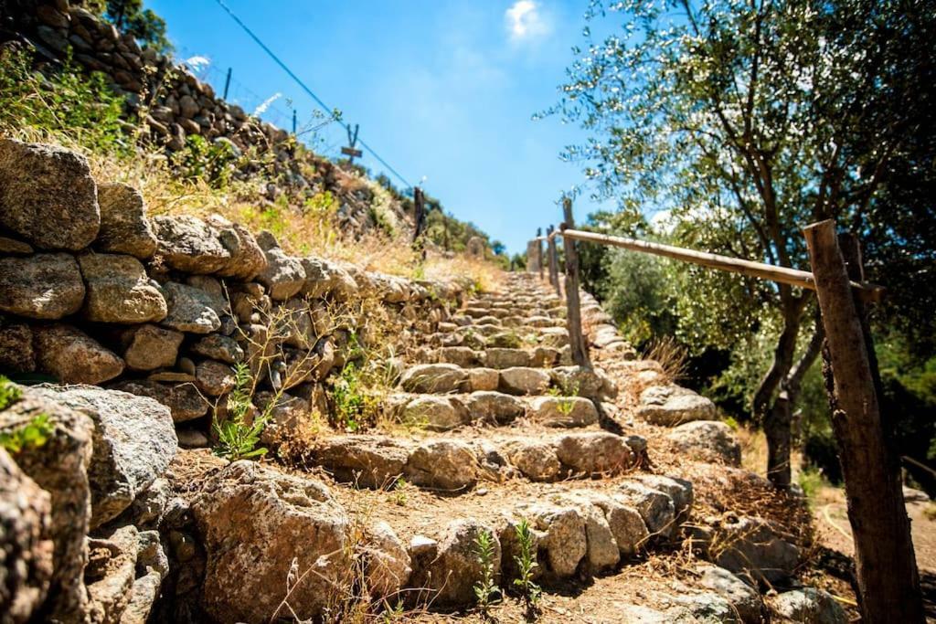 Les Bergeries "Le Figuier" Hotel Omessa Bagian luar foto