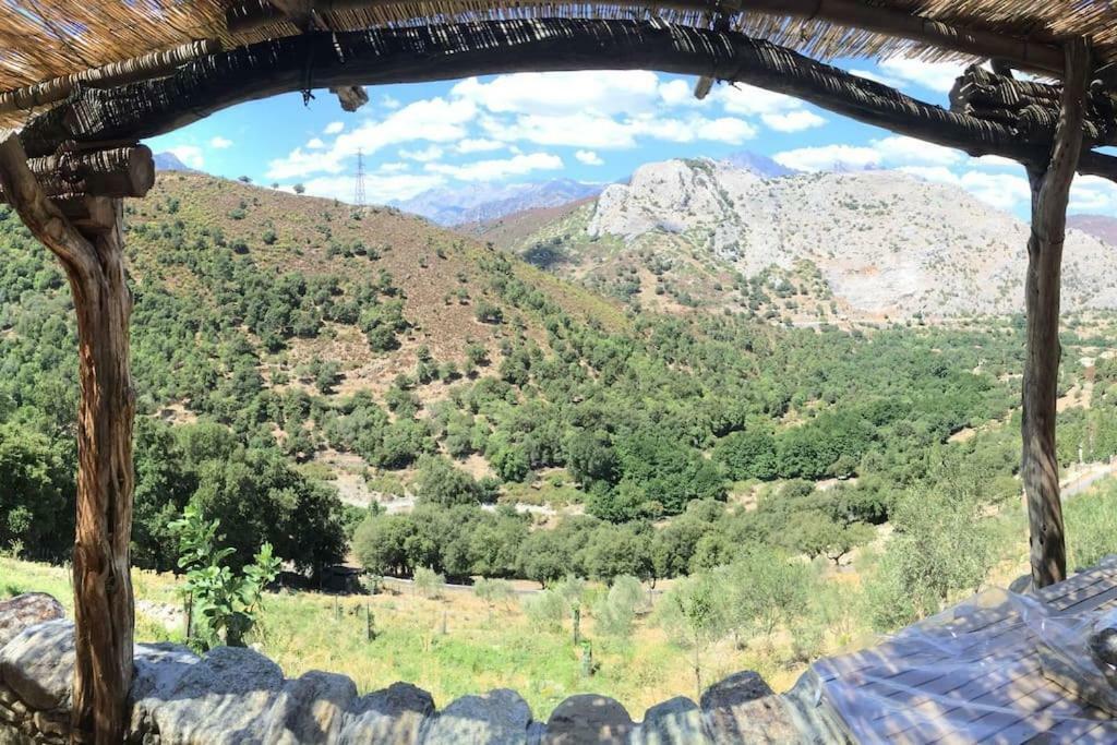 Les Bergeries "Le Figuier" Hotel Omessa Bagian luar foto