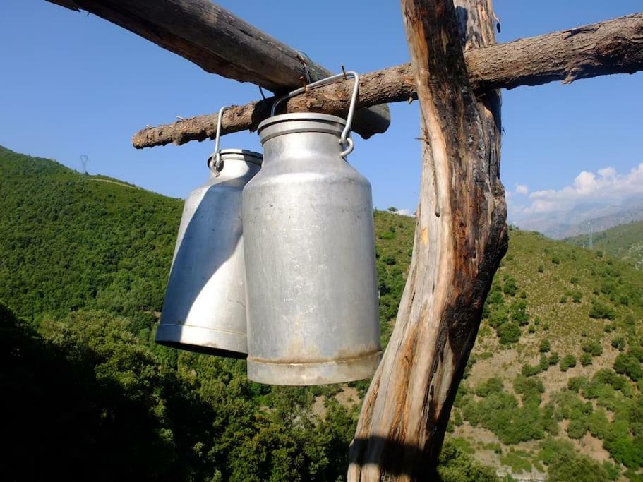 Les Bergeries "Le Figuier" Hotel Omessa Bagian luar foto