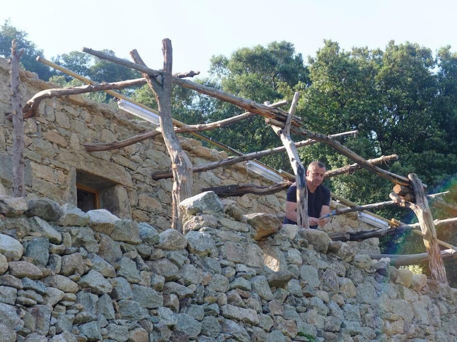 Les Bergeries "Le Figuier" Hotel Omessa Bagian luar foto