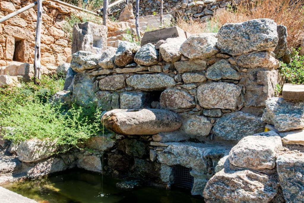Les Bergeries "Le Figuier" Hotel Omessa Bagian luar foto