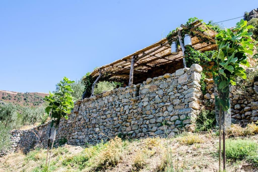 Les Bergeries "Le Figuier" Hotel Omessa Bagian luar foto