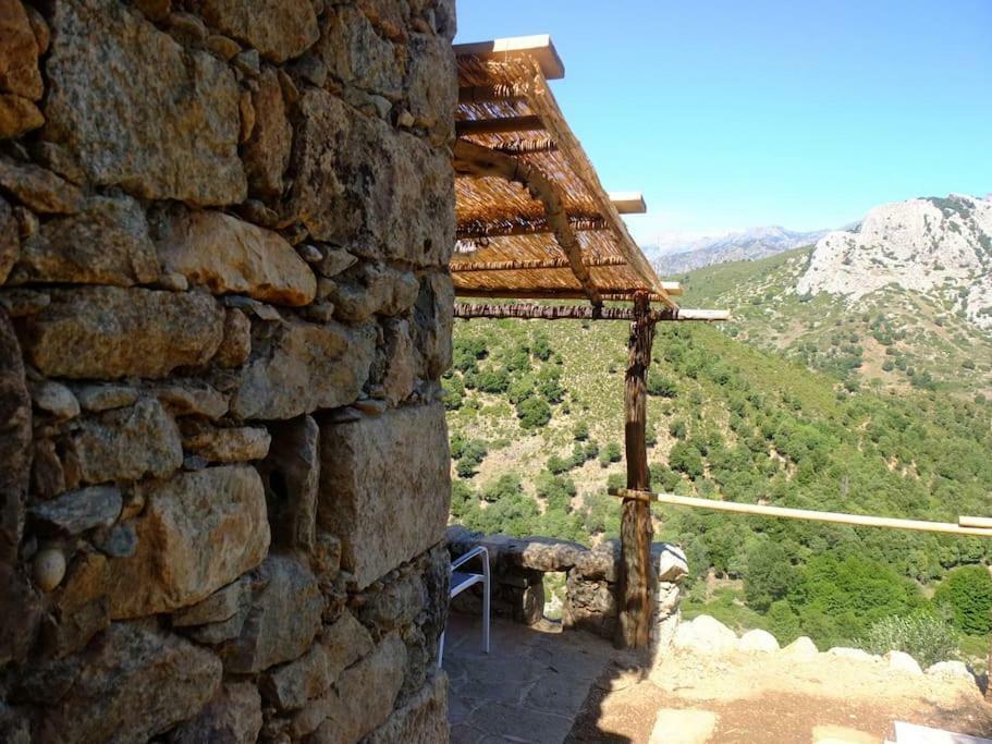 Les Bergeries "Le Figuier" Hotel Omessa Bagian luar foto
