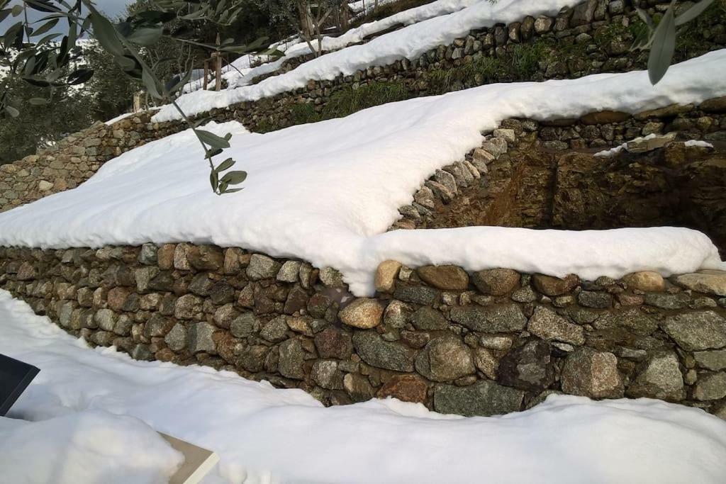 Les Bergeries "Le Figuier" Hotel Omessa Bagian luar foto