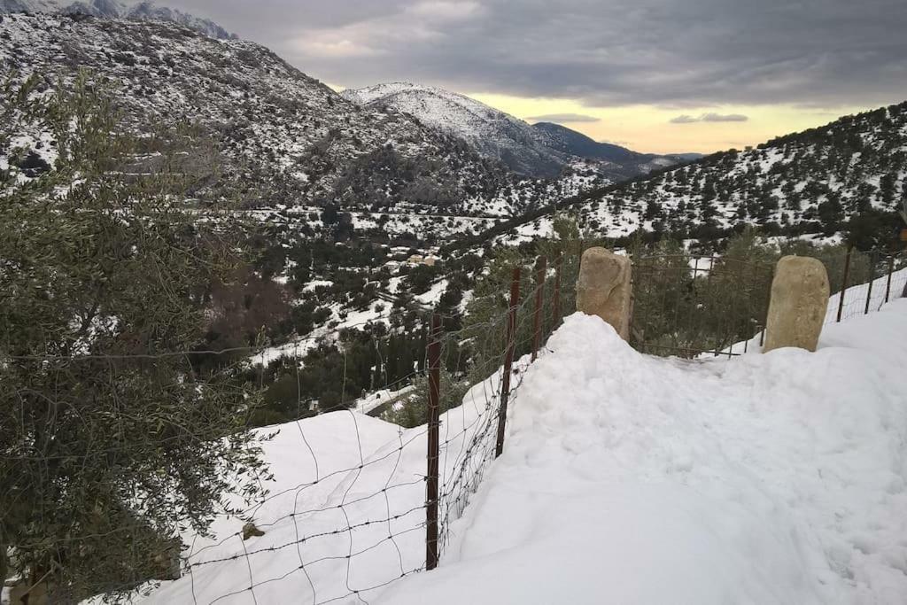 Les Bergeries "Le Figuier" Hotel Omessa Bagian luar foto