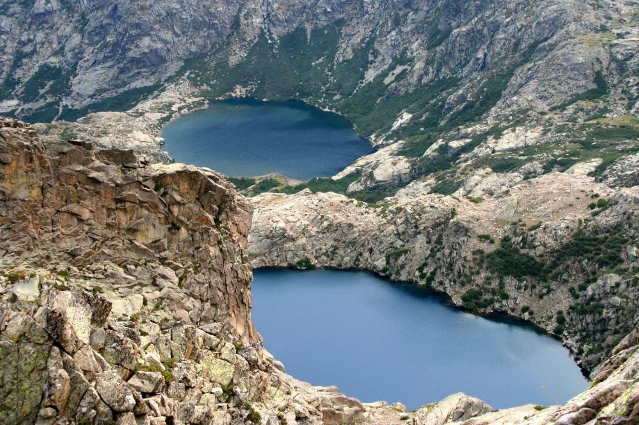 Les Bergeries "Le Figuier" Hotel Omessa Bagian luar foto