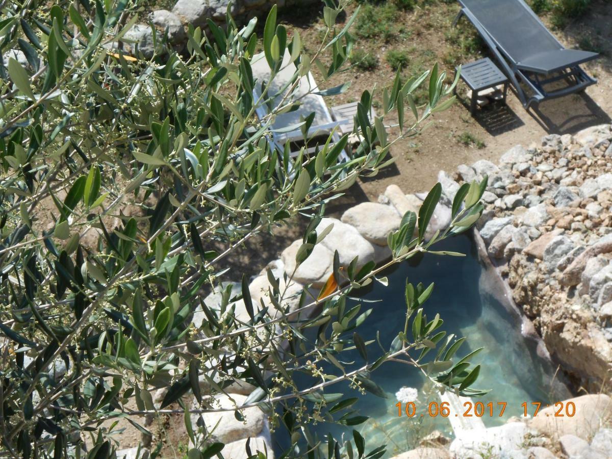 Les Bergeries "Le Figuier" Hotel Omessa Bagian luar foto