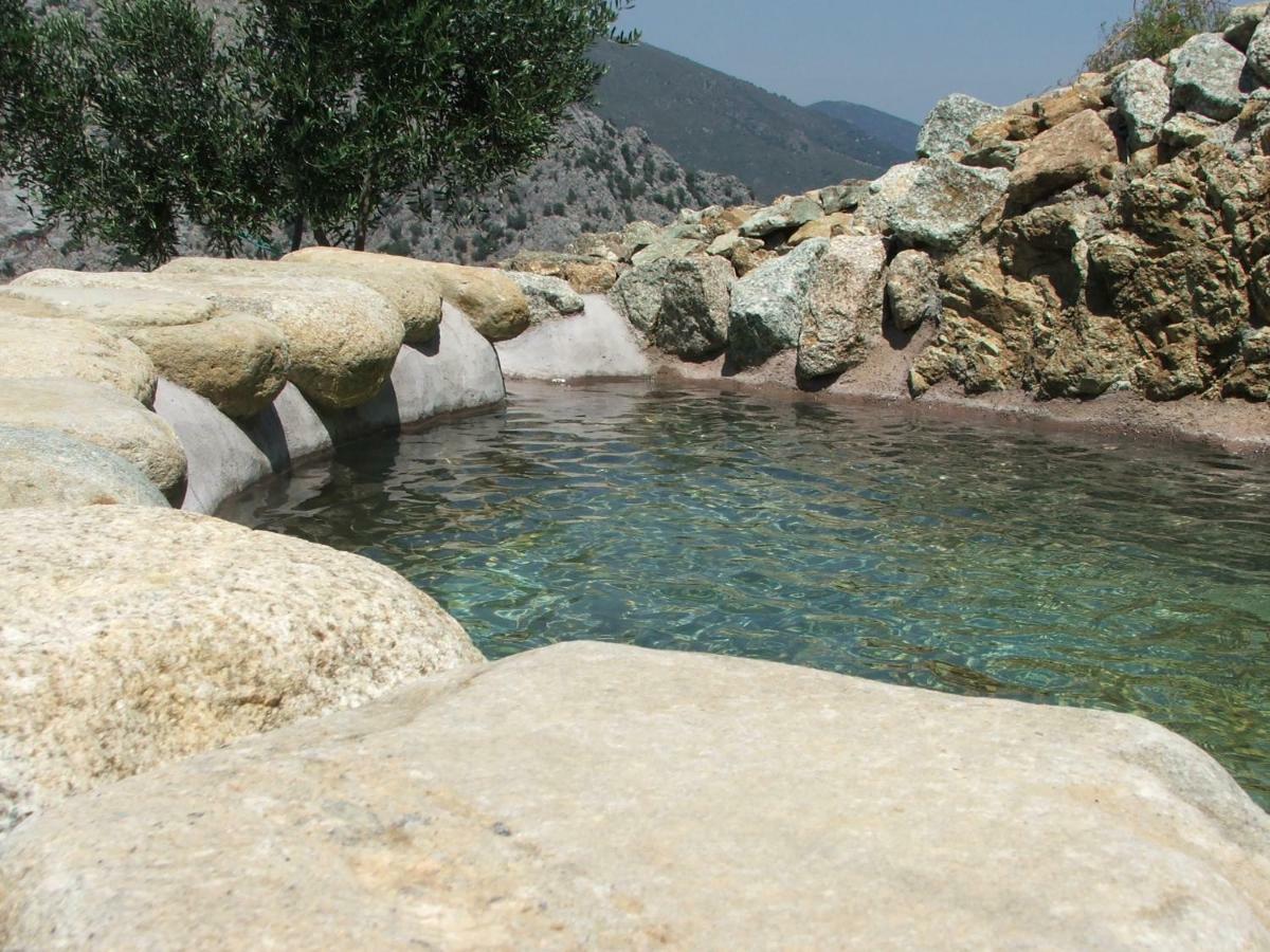 Les Bergeries "Le Figuier" Hotel Omessa Bagian luar foto