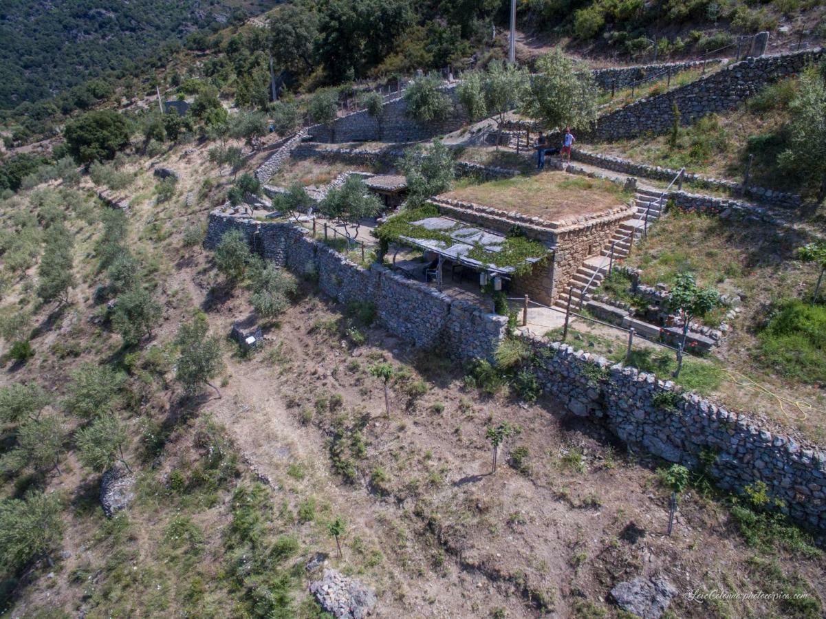 Les Bergeries "Le Figuier" Hotel Omessa Bagian luar foto