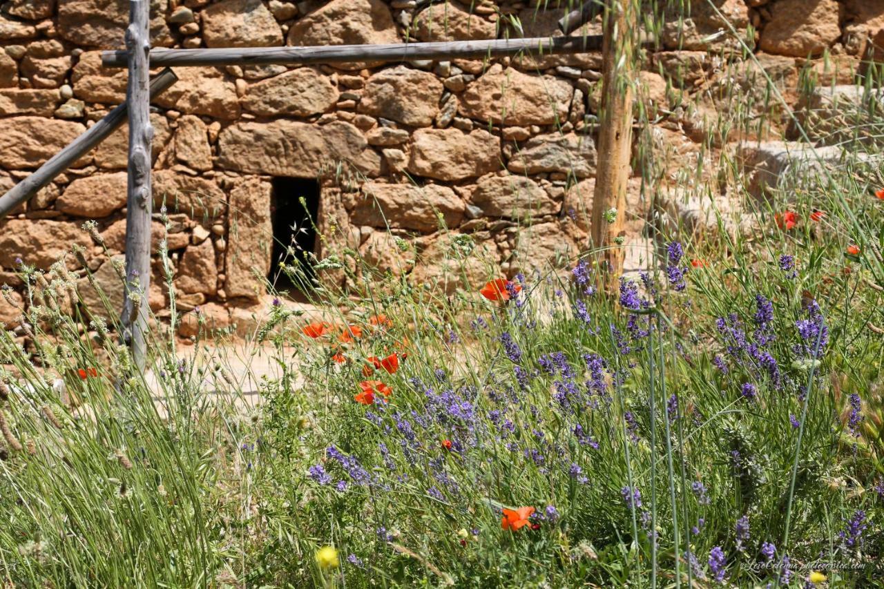 Les Bergeries "Le Figuier" Hotel Omessa Bagian luar foto