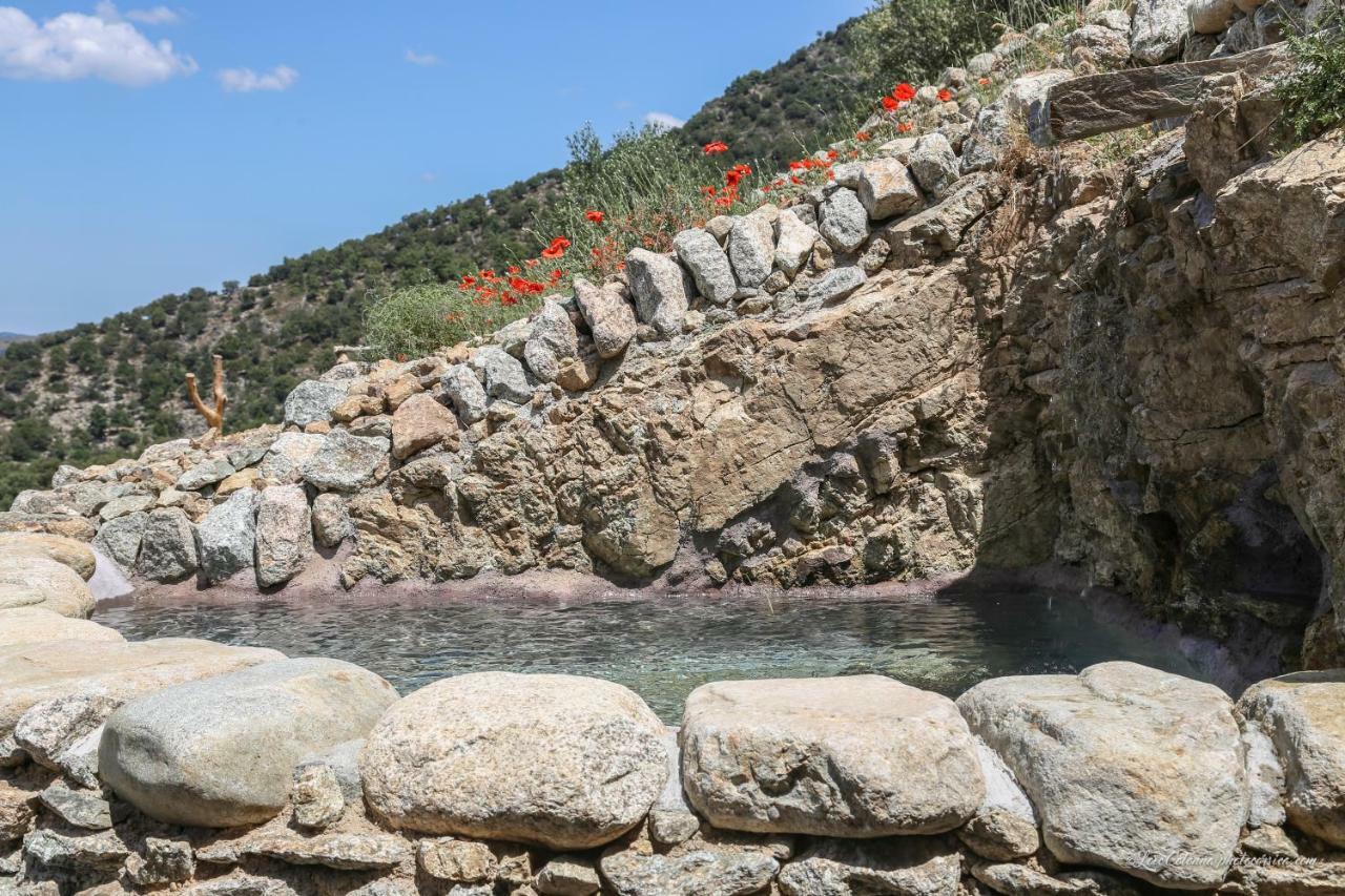 Les Bergeries "Le Figuier" Hotel Omessa Bagian luar foto