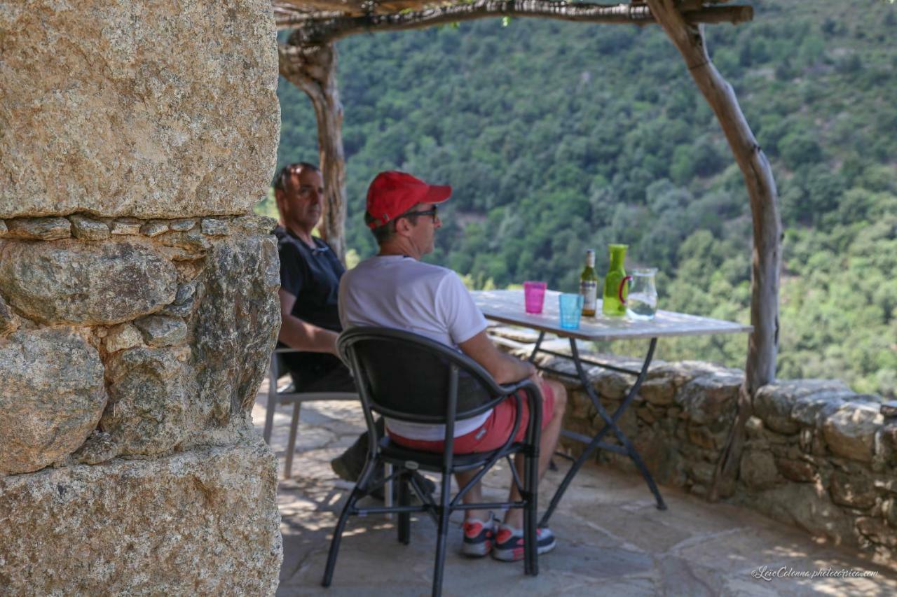 Les Bergeries "Le Figuier" Hotel Omessa Bagian luar foto