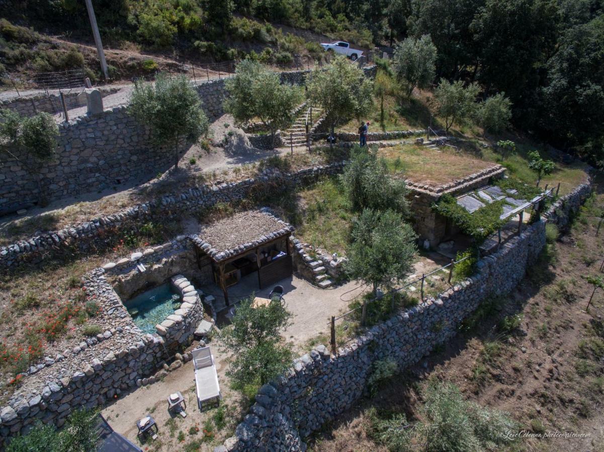 Les Bergeries "Le Figuier" Hotel Omessa Bagian luar foto