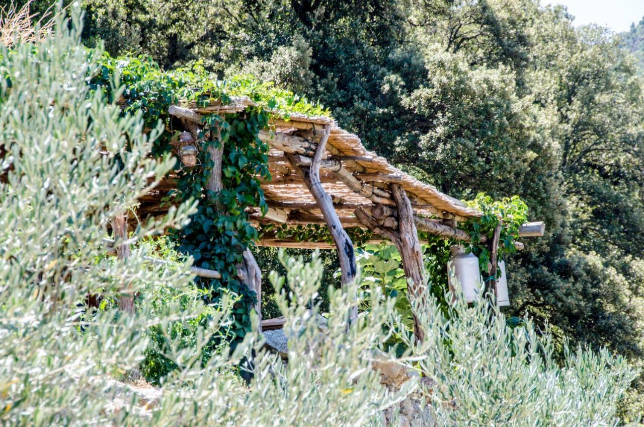 Les Bergeries "Le Figuier" Hotel Omessa Bagian luar foto