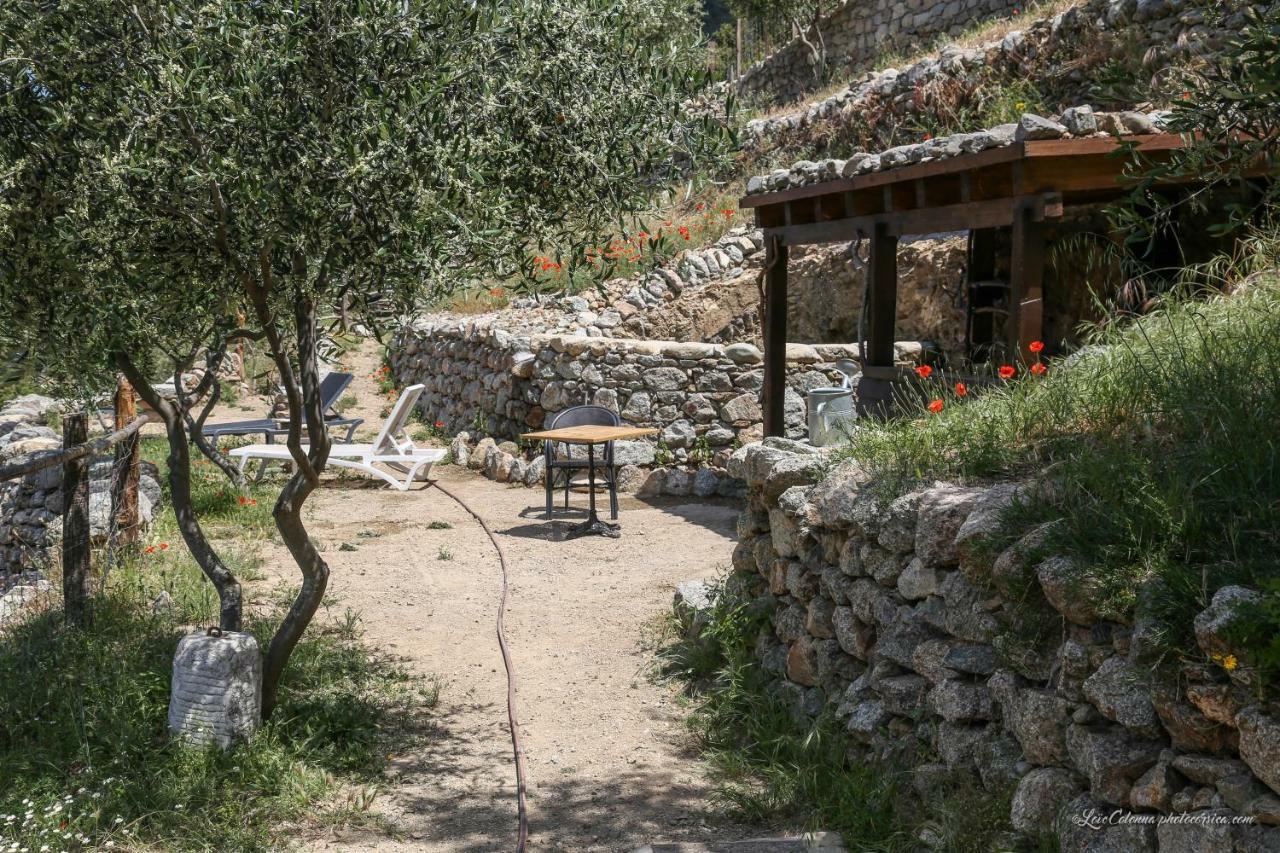 Les Bergeries "Le Figuier" Hotel Omessa Bagian luar foto